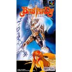 BASTARD!! -暗黒の破壊神-のソフトパッケージ