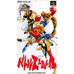 バトルZEQUE伝のソフトパッケージ