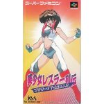 美少女レスラー列伝 ブリザードYuki乱入!!のソフトパッケージ