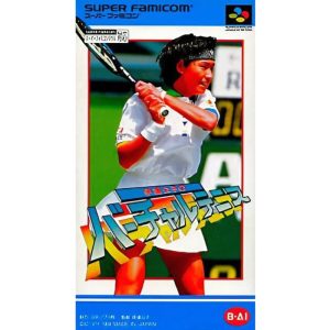 伊達公子のバーチャルテニスのソフトパッケージ