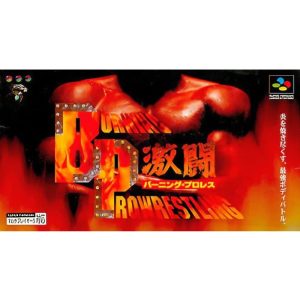 激闘バーニング・プロレスのソフトパッケージ