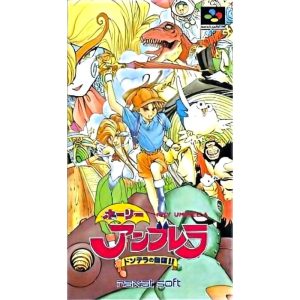 ホーリーアンブレラ ドンデラの無謀!!のソフトパッケージ