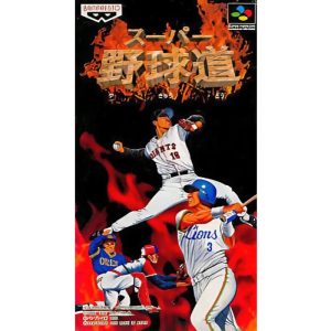 スーパー野球道のソフトパッケージ