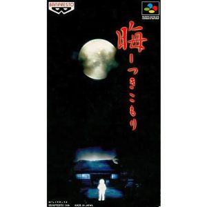 晦-つきこもりのソフトパッケージ