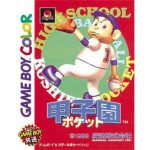 甲子園ポケットのソフトパッケージ