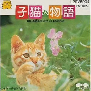 子猫物語