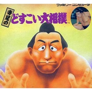 寺尾のどすこい大相撲のソフトパッケージ