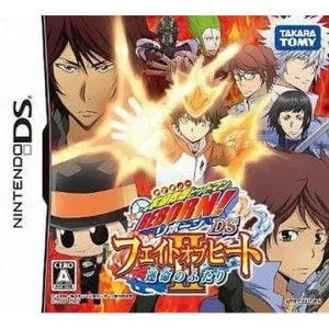 家庭教師ヒットマンREBORN!DS フェイトオブヒートII 運命のふたり