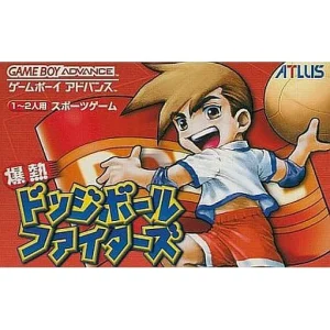 爆熱ドッジボールファイターズ
