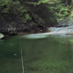 FISH EYES Wildのゲームプレイ画像