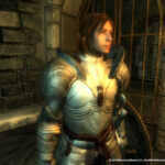 The Elder Scrolls IV: Oblivion Game of the Year Editionのゲーム画面