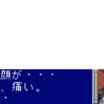機動戦士ガンダムSEEDのゲーム画面