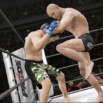 UFC Undisputed 3のゲーム画面