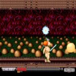 ジェノサイドのゲーム画面