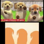 nintendogs + cats トイ・プードル & Newフレンズのゲーム画面