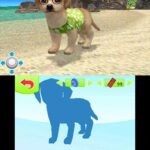 オシャレでかわいい子犬と遊ぼ! 海編のゲーム画面