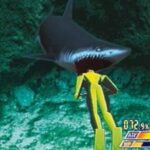 ドルフィンズドリームのゲーム画面