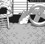 どこでもハムスターのゲーム画面