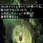 パンドラMAXシリーズVOL.3 ラビッシュブレイズンのゲーム画面