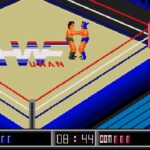 サンダープロレスリング列伝のゲーム画面