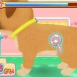 わんニャンどうぶつ病院2のゲーム画面