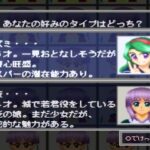 里見の謎のゲーム画面