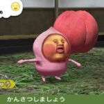 こびとづかん こびと観察セットのゲーム画面
