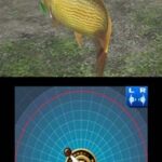 Fish Eyes 3Dのゲーム画面