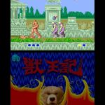 3D 獣王記のゲーム画面